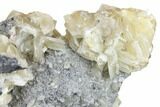 Sandwich Calcite Crystal Cluster with Pyrite - Inner Mongolia #181717-11